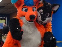 DE Furbowl 54